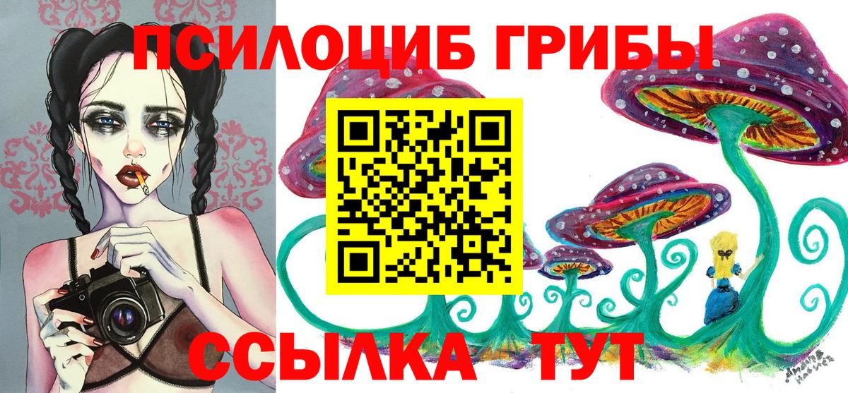 Бахчисарай  Галлюциногенные грибы Cubensis  где продают   Вход с VPN 