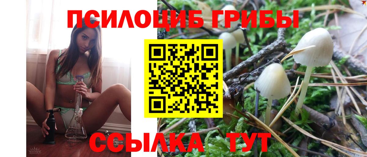Галлюциногенные грибы мицелий Бахчисарай