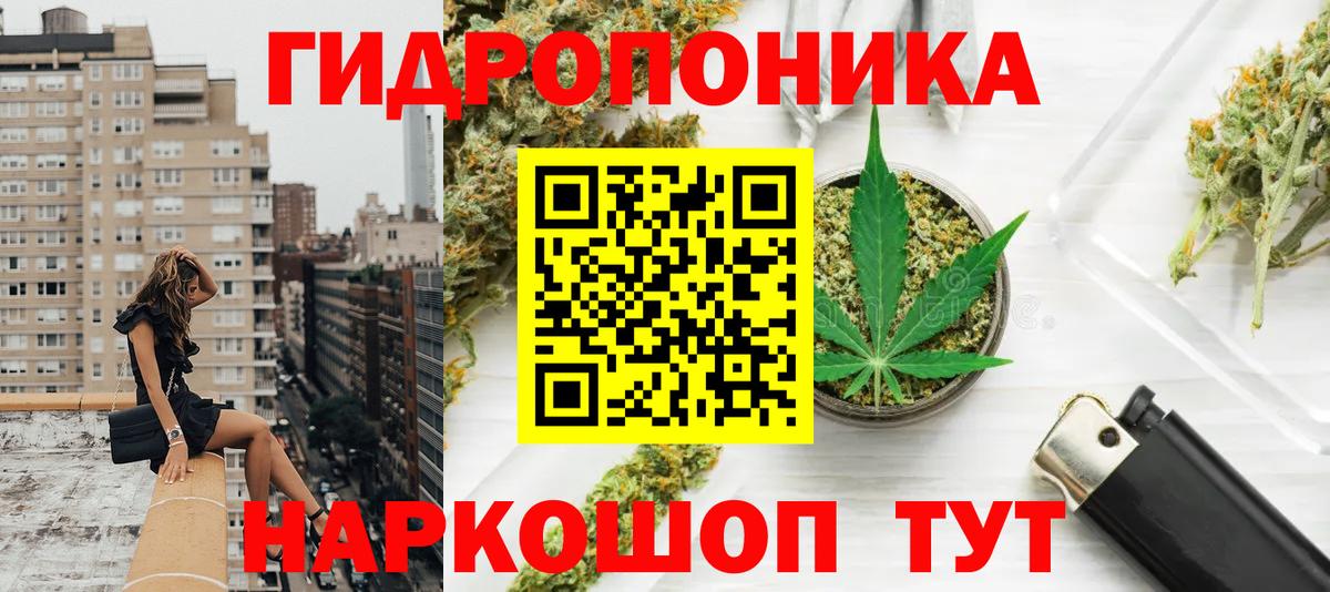 Каннабис план Бахчисарай